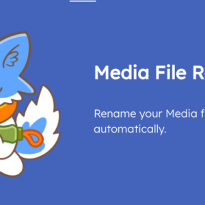 Media File Renamer Pro