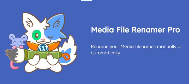 Media File Renamer Pro